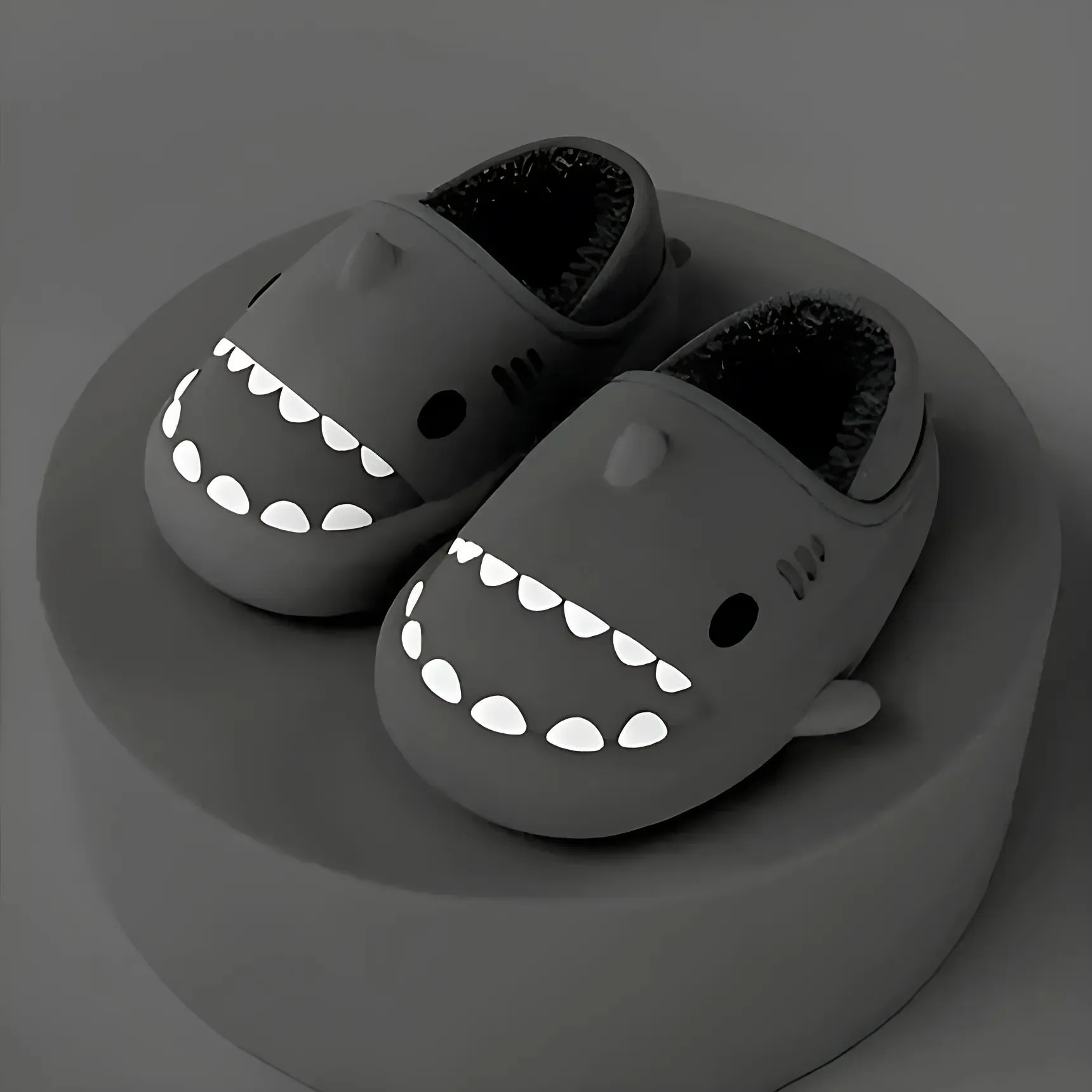 Cozy Shark Slides