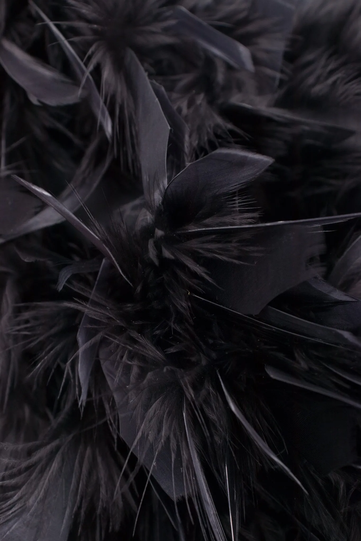 Downy Feather Jacket