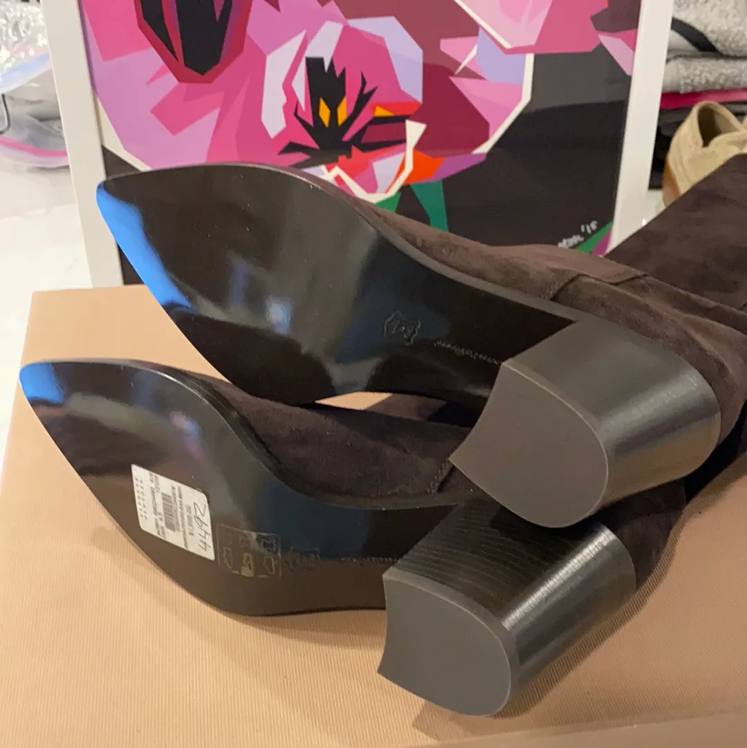 Gianvito Rossi Chocolate Brown Suede Pointed Boots